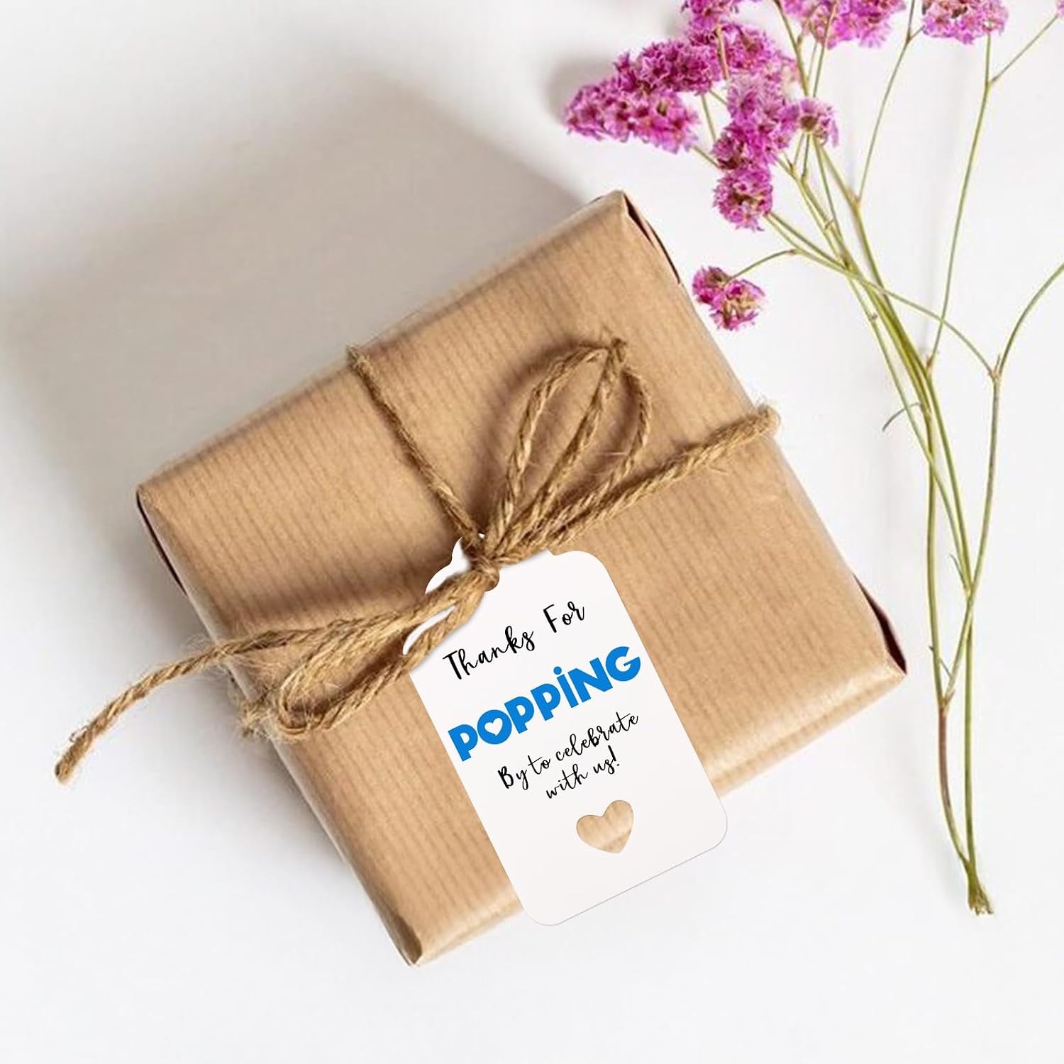 image:imageG2PLUS Kraft Paper Gift Tags Blank Bottle Tag 100PCS Vintage Mason Jar Tags Canning Labels Brown Hangtags with Natural Jute Twine for DIY and Craft Canning Jars and Party FavorsBlue Heartpopping