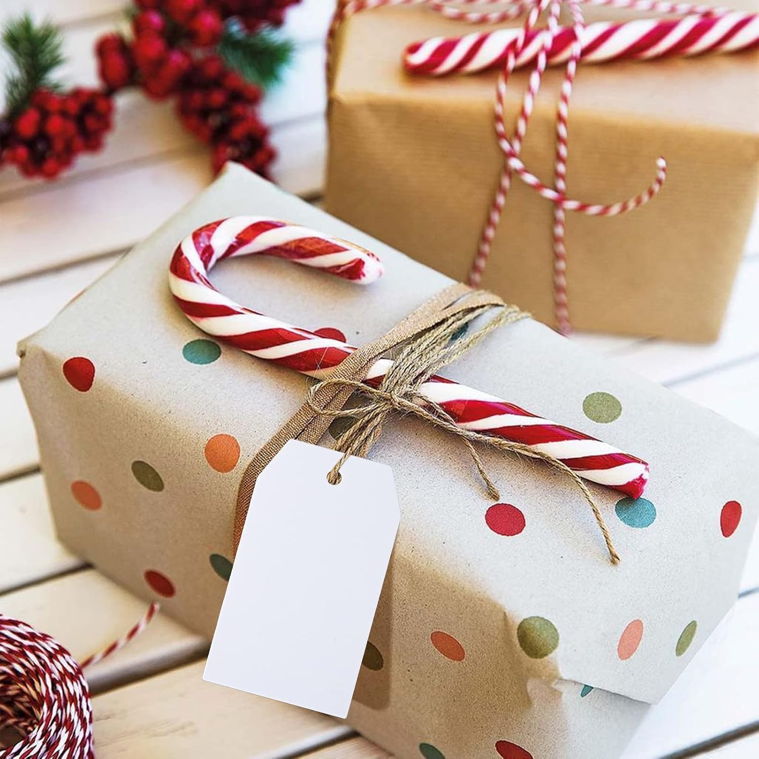 image:imageG2PLUS Red Gift Tags 100PCS Red Paper Gift Tags with String 2816 in Blank Labeling Tag for Present Wrapping Mothers Day Christmas Valentines DIY Arts amp CraftsRectanglewhite