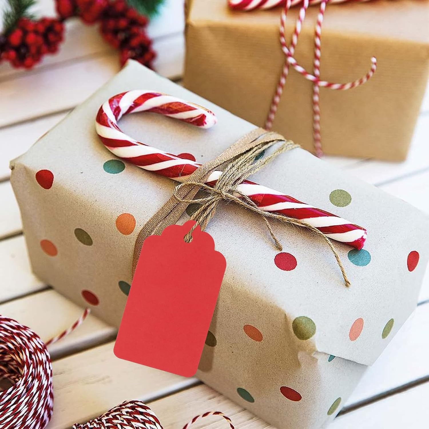image:imageG2PLUS Red Gift Tags 100PCS Red Paper Gift Tags with String 2816 in Blank Labeling Tag for Present Wrapping Mothers Day Christmas Valentines DIY Arts amp CraftsWavered