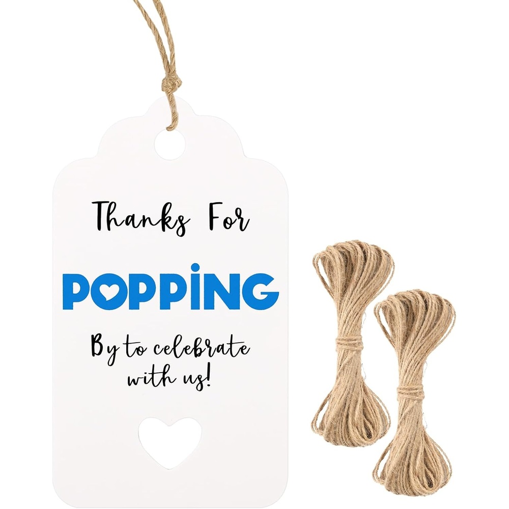 image:imageG2PLUS Kraft Paper Gift Tags Blank Bottle Tag 100PCS Vintage Mason Jar Tags Canning Labels Brown Hangtags with Natural Jute Twine for DIY and Craft Canning Jars and Party FavorsBlue Heartpopping