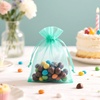image:imageG2PLUS 100PCS Drawstring Organza Bags 4x6 in  Christmas Dark Green Organza Bags Sheer Mesh Pouches for Candy Fruits Baby Shower Wedding Party FavorsAqua Blue