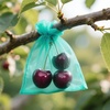 image:imageG2PLUS 100PCS Drawstring Organza Bags 4x6 in  Christmas Dark Green Organza Bags Sheer Mesh Pouches for Candy Fruits Baby Shower Wedding Party FavorsAqua Blue