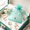 image:imageG2PLUS 100PCS Drawstring Organza Bags 4x6 in  Christmas Dark Green Organza Bags Sheer Mesh Pouches for Candy Fruits Baby Shower Wedding Party FavorsAqua Blue