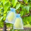 image:imageG2PLUS 100PCS Drawstring Organza Bags 4x6 in  Christmas Dark Green Organza Bags Sheer Mesh Pouches for Candy Fruits Baby Shower Wedding Party FavorsBaby Blue