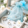 image:imageG2PLUS 100PCS Drawstring Organza Bags 4x6 in  Christmas Dark Green Organza Bags Sheer Mesh Pouches for Candy Fruits Baby Shower Wedding Party FavorsBlue