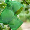 image:imageG2PLUS 100PCS Drawstring Organza Bags 4x6 in  Christmas Dark Green Organza Bags Sheer Mesh Pouches for Candy Fruits Baby Shower Wedding Party FavorsGrass Green