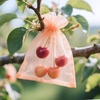 image:imageG2PLUS 100PCS Drawstring Organza Bags 4x6 in  Christmas Dark Green Organza Bags Sheer Mesh Pouches for Candy Fruits Baby Shower Wedding Party FavorsPeach