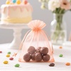 image:imageG2PLUS 100PCS Drawstring Organza Bags 4x6 in  Christmas Dark Green Organza Bags Sheer Mesh Pouches for Candy Fruits Baby Shower Wedding Party FavorsPeach