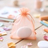 image:imageG2PLUS 100PCS Drawstring Organza Bags 4x6 in  Christmas Dark Green Organza Bags Sheer Mesh Pouches for Candy Fruits Baby Shower Wedding Party FavorsPeach