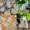 image:imageG2PLUS 100PCS Drawstring Organza Bags 4x6 in  Christmas Dark Green Organza Bags Sheer Mesh Pouches for Candy Fruits Baby Shower Wedding Party FavorsWhite