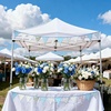 image:imageG2PLUS 108Ft Cotton Triangle Bunting Banner  12pcs Blue and Green Floral Fabric Pennant Flag with Tassels Double Side Triangle Banner Garland for Weddings Birthdays Garden amp Baby ShowersBlue