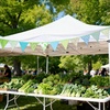 image:imageG2PLUS 108Ft Cotton Triangle Bunting Banner  12pcs Blue and Green Floral Fabric Pennant Flag with Tassels Double Side Triangle Banner Garland for Weddings Birthdays Garden amp Baby ShowersBlue and Green