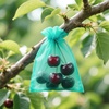 image:imageG2PLUS 25PCS Drawsring Organza Bags 5x7 inches  Light Green Organza Gift Bag Sheer Mesh Pouches for Candy Jewelry Fruits Wedding Party FavorsAqua Blue