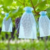 image:imageG2PLUS 25PCS Drawsring Organza Bags 5x7 inches  Light Green Organza Gift Bag Sheer Mesh Pouches for Candy Jewelry Fruits Wedding Party FavorsBaby Blue