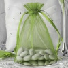 image:imageG2PLUS 25PCS Drawsring Organza Bags 5x7 inches  Light Green Organza Gift Bag Sheer Mesh Pouches for Candy Jewelry Fruits Wedding Party FavorsGreen