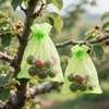 image:imageG2PLUS 25PCS Drawsring Organza Bags 5x7 inches  Light Green Organza Gift Bag Sheer Mesh Pouches for Candy Jewelry Fruits Wedding Party FavorsLight Green