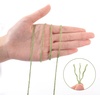 image:imageG2PLUS 328FT Jute Twine 2mm 3 Ply Natural Craft Twine String for Gift Wrapping DIY Crafts Gardening amp Home UseSage Green