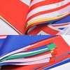 image:imageG2PLUS 40Pcs American Flags Banner36Feet USA Patriotic String Pennant for 4th of July Red White Blue American String Flags Banner for Independence Day Outdoor Indoor Decor Sports Bars Classroom82ft100 Countries World Flags
