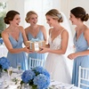 image:imageG2PLUS 50Pcs Name Place Cards  Wedding Place Cards with Champagne Gold Ribbon Blank Paper Gift Tags 35x2 Inches for Wedding Favors Bridal Shower amp Party Table SettingBlue