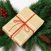 image:imageG2PLUS Christmas Twine String  2MM 328 Ft Bakers Twine Red Green White Cotton String for Gift Wrapping DIY Crafts Party DecorationsRed Gold