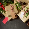 image:imageG2PLUS Red Gift Tags 100PCS Red Paper Gift Tags with String 2816 in Blank Labeling Tag for Present Wrapping Mothers Day Christmas Valentines DIY Arts amp CraftsWavekraft