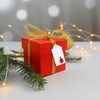 image:imageG2PLUS Star Gift Tags 100PCS Blank Star Shaped Tags Kraft Paper Gift Tag with String for Present Wrapping Wedding Graduation Christmas Party Favors BlackWhite Christmas Tree