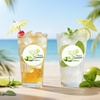 image:imageG2PLUS Summer Gift Stickers  60Pcs Happy Summer Stickers 2 Inch Round Ice Cream Label Sticker for Envelope Seals Gift Cards Bags Small Business Hawaii Tropical Luau Party FavorsSummerLemon