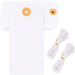 image:imageG2PLUS Price Tags with String 24x47 in Blank Labeling Tags White Paper Hang Tag with Reinforced Hole for Shipping Clothing Pricing Marking Gift WrappingLarge White Brownqty Unknown